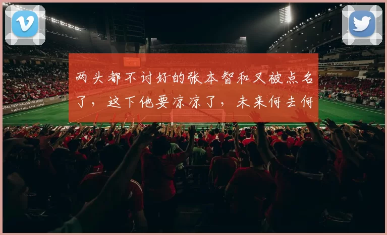 两头都不讨好的张本智和又被点名了，这下他要凉凉了，未来何去何从呢