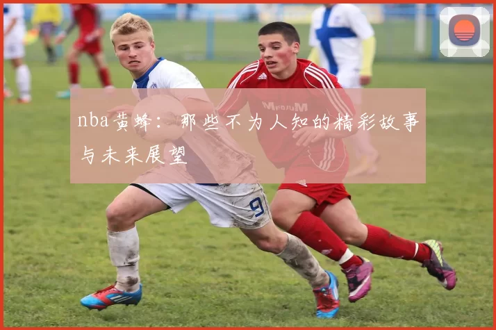 nba黄蜂：那些不为人知的精彩故事与未来展望