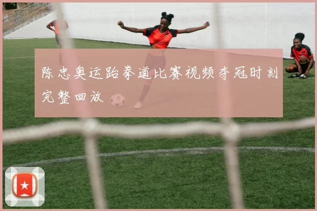 陈忠奥运跆拳道比赛视频夺冠时刻完整回放