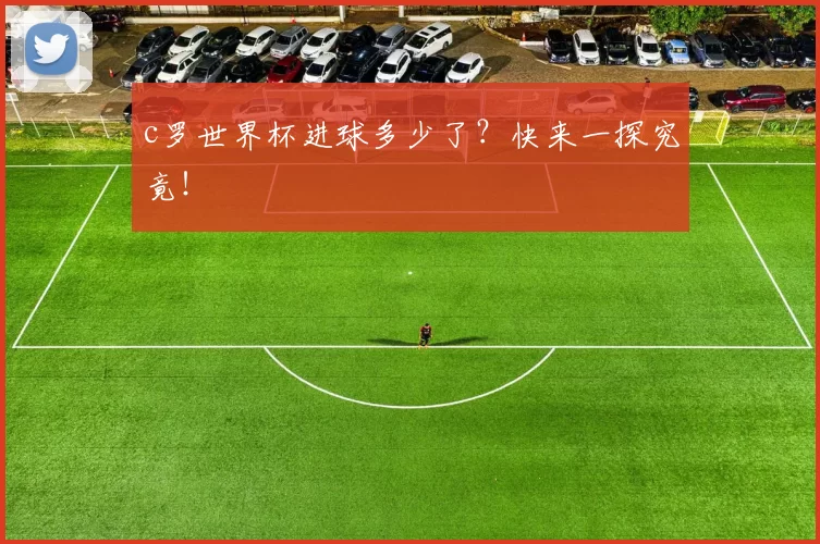 c罗世界杯进球多少了？快来一探究竟！