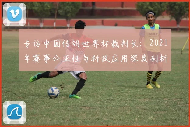 专访中国信鸽世界杯裁判长：2021年赛事公正性与科技应用深度剖析