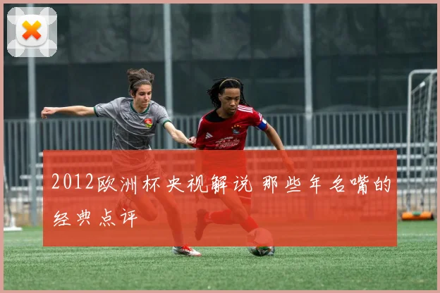 2012欧洲杯央视解说 那些年名嘴的经典点评