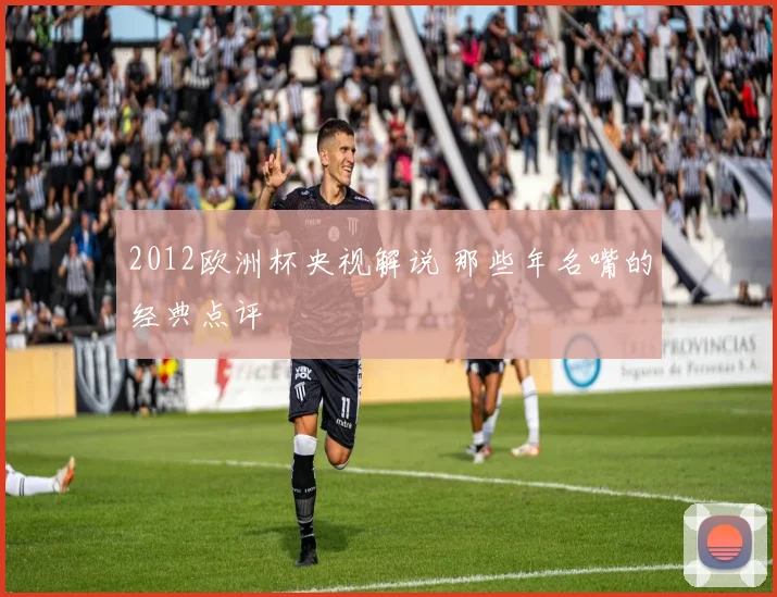 2012欧洲杯央视解说 那些年名嘴的经典点评