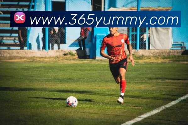 开云官方版网站登录入口 - 开云online(中国)平台生态图