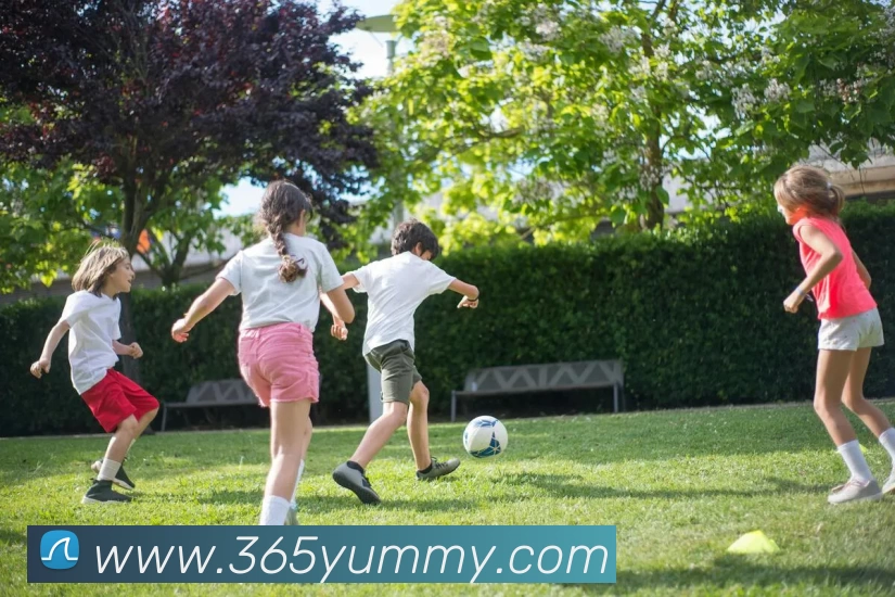 开云官方版网站登录入口 - 开云online(中国)APP 封面图