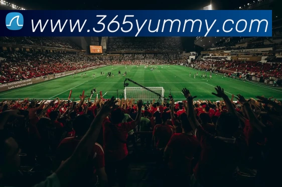 数据防护可视化